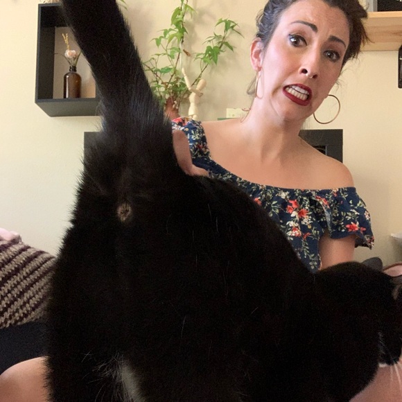 Meet your Posher, Aimee - Picture 3 of 4